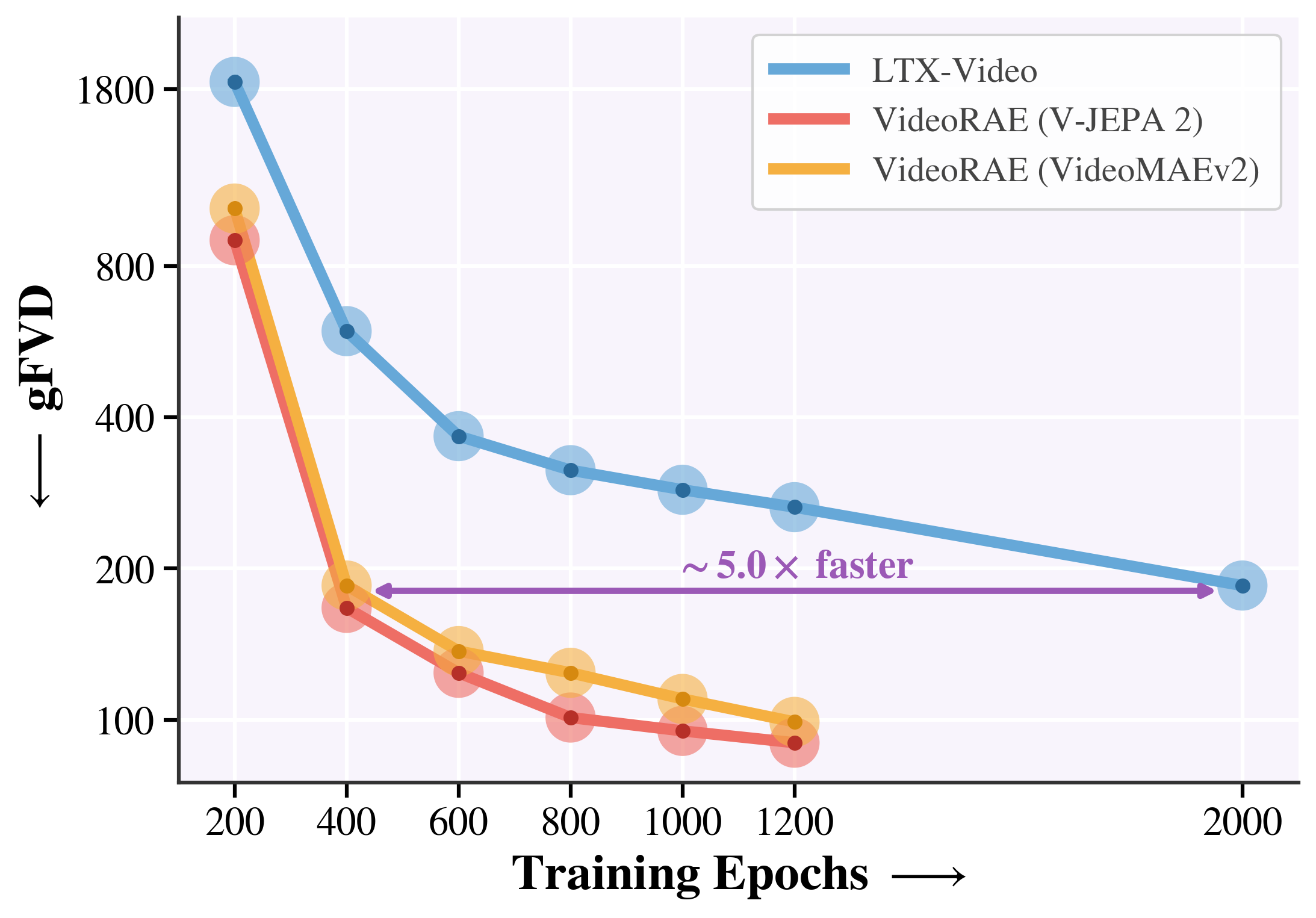 Class-to-video DiT convergence comparison.